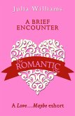 A Brief Encounter (eBook, ePUB)