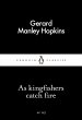 As Kingfishers Catch Fire (eBook, ePUB) - Bild 1