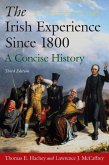 The Irish Experience Since 1800: A Concise History (eBook, PDF)