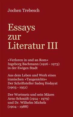 Essays zur Literatur III