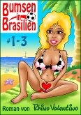 Bumsen in Brasilien 1-3 (eBook, ePUB)