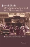 Drei Sensationen und zwei Katastrophen (eBook, ePUB)