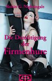 Die Demütigung der Firmenhure (eBook, ePUB)