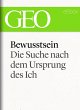 Bewusstsein: Die Suche nach dem... - Bild 1