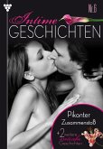 Intime Geschichten 6 - Erotikroman (eBook, ePUB)