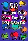 50 Things You Can Fap To But Really Shouldn't Volume #2 (eBook, ePUB)