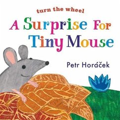 A Surprise for Tiny Mouse - Horacek, Petr