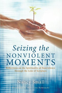 Seizing the Nonviolent Moments - Small, Nancy