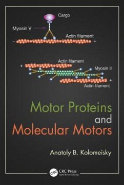 Motor Proteins and Molecular Motors - Kolomeisky, Anatoly B