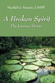 A Broken Spirit