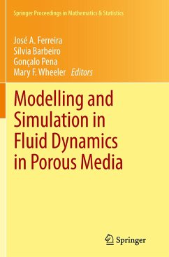 Modelling and Simulation in Fluid Dynamics in Porous Media