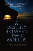A Destiny Between Two Worlds: A Novel about Okinawa