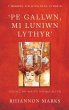 'Pe Gallwn, Mi Luniwn Lythyr' (eBook,... - Bild 1