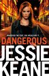 Dangerous (eBook, ePUB) - Bild 1