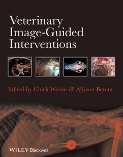 Veterinary Image-Guided Interventions (eBook, PDF)