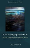 Poetry, Geography, Gender (eBook, ePUB)
