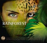 Rainforest-Hommage To An Endangered Treasure Rainforest-Hommage To An Endangered Treasure