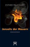 Jenseits der Mauern (eBook, ePUB)