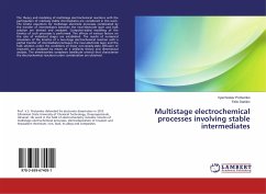 Multistage electrochemical processes involving stable intermediates - Protsenko, Vyacheslav;Danilov, Felix