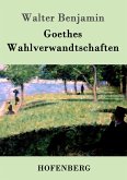 Goethes Wahlverwandtschaften