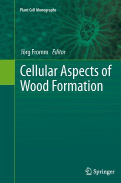 Cellular Aspects of Wood Formation