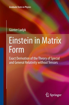 Einstein in Matrix Form - Ludyk, Günter