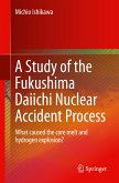 A Study of the Fukushima Daiichi Nuclear Accident Process