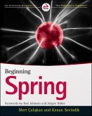Beginning Spring (eBook, PDF)