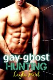 Gay Ghost Hunting (eBook, ePUB)