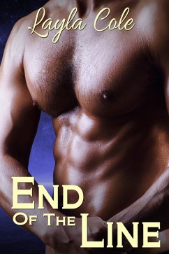 End of the Line (eBook, ePUB) - Cole, Layla