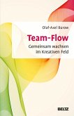 Team-Flow (eBook, PDF)