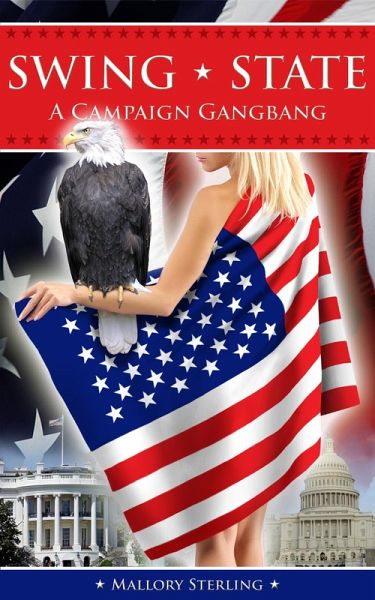 Swing State - A Campaign Gangbang (eBook, ePUB) Swing State - A Campaign Gangbang (eBook, ePUB)