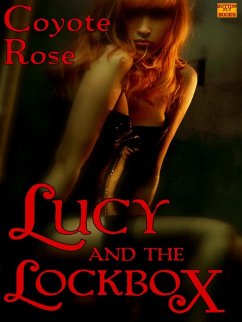 Cover Lucy and the Lockbox (eBook, ePUB)