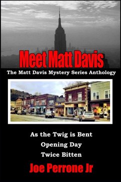 Meet Matt Davis: The Matt Davis Mystery Series Anthology (eBook, ePUB) - Perrone, Joe