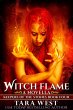 Witch Flame (Keepers of the Stones, #4)... - Bild 1