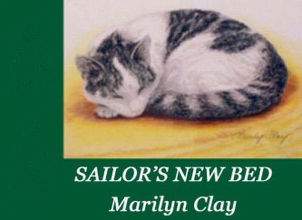 Sailor's New Bed (eBook, ePUB) Sailor's New Bed (eBook, ePUB)