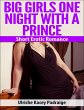 Big Girls One Night with a Prince:... - Bild 1