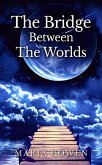 Bridge Between the Worlds (eBook, ePUB)
