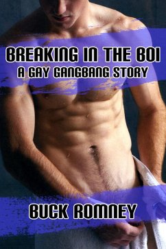 Cover Breaking in the Boi - A Gay Gangbang Story (eBook, ePUB)