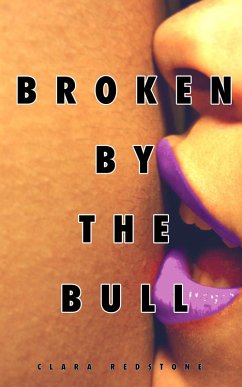 Cover Broken by the Bull (eBook, ePUB)