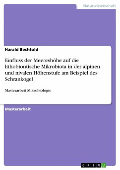 Einfluss der Meereshöhe auf die lithobiontische Mikrobiota in der alpinen und nivalen Höhenstufe am Beispiel des Schrankogel - Bechtold, Harald