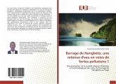 Barrage de Nangbéto, une retenue d'eau en voies de fortes pollutions ?