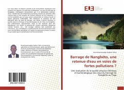 Barrage de Nangbéto, une retenue d'eau en voies de fortes pollutions ? - Yatta, Kountowaniwadjo Gaëtan