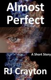 Almost Perfect (eBook, ePUB)