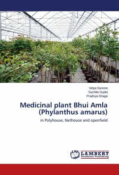 Medicinal plant Bhui Amla (Phylanthus amarus)