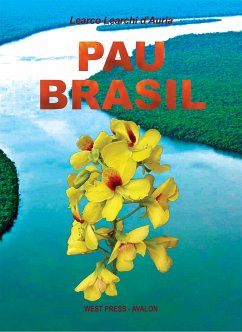 Pau Brasil (eBook, ePUB) - Learchi d'Auria, Learco