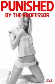Punished by the Professor (eBook, ePUB)