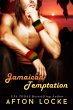 Jamaican Temptation (eBook, ePUB) - Bild 1