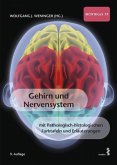 Gehirn und Nervensystem