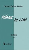 Hinaus ins Licht (eBook, ePUB)